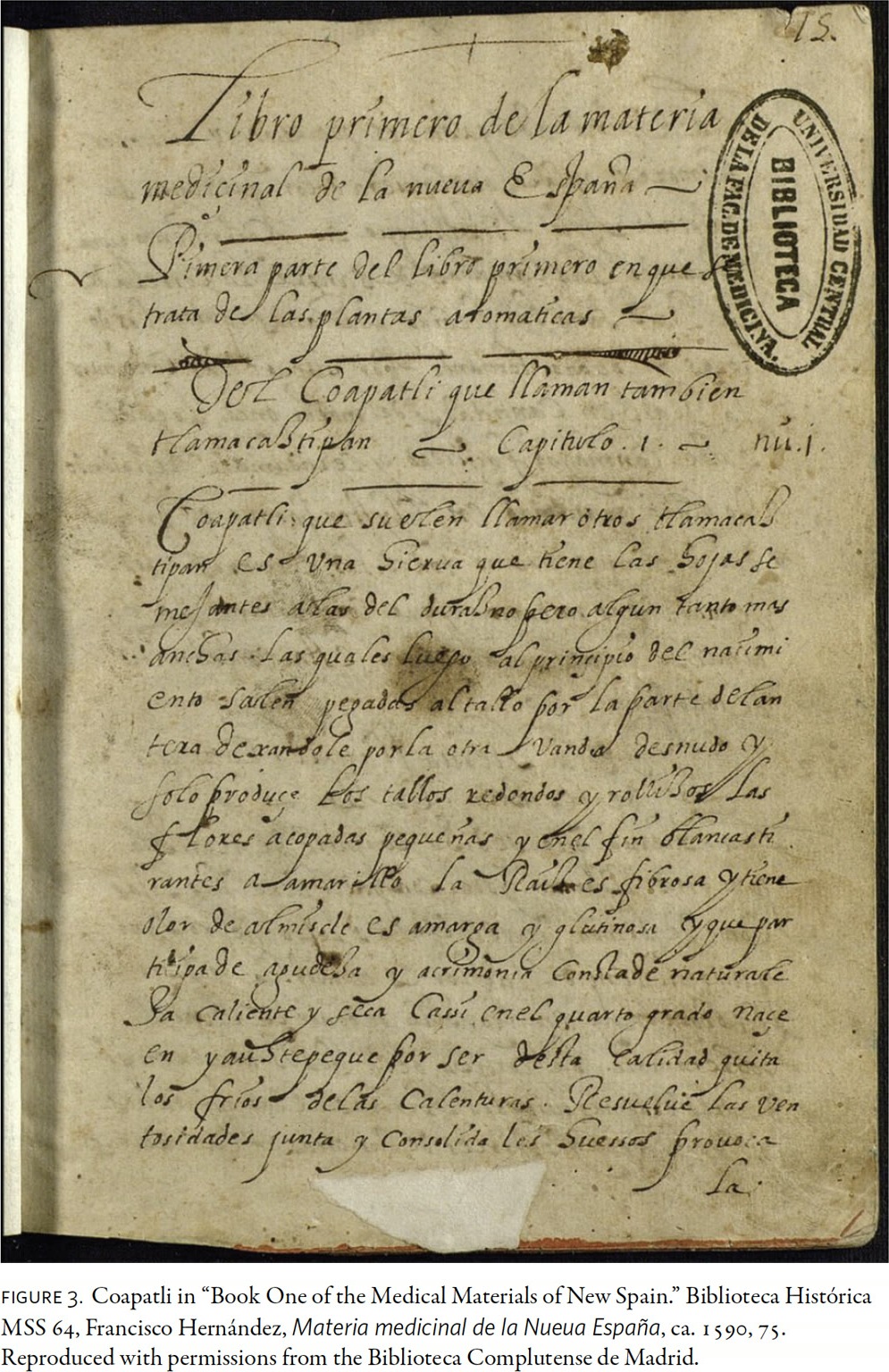עמוד מכתב היד Materia medicinal de la Nueva España, בסביבות 1590
